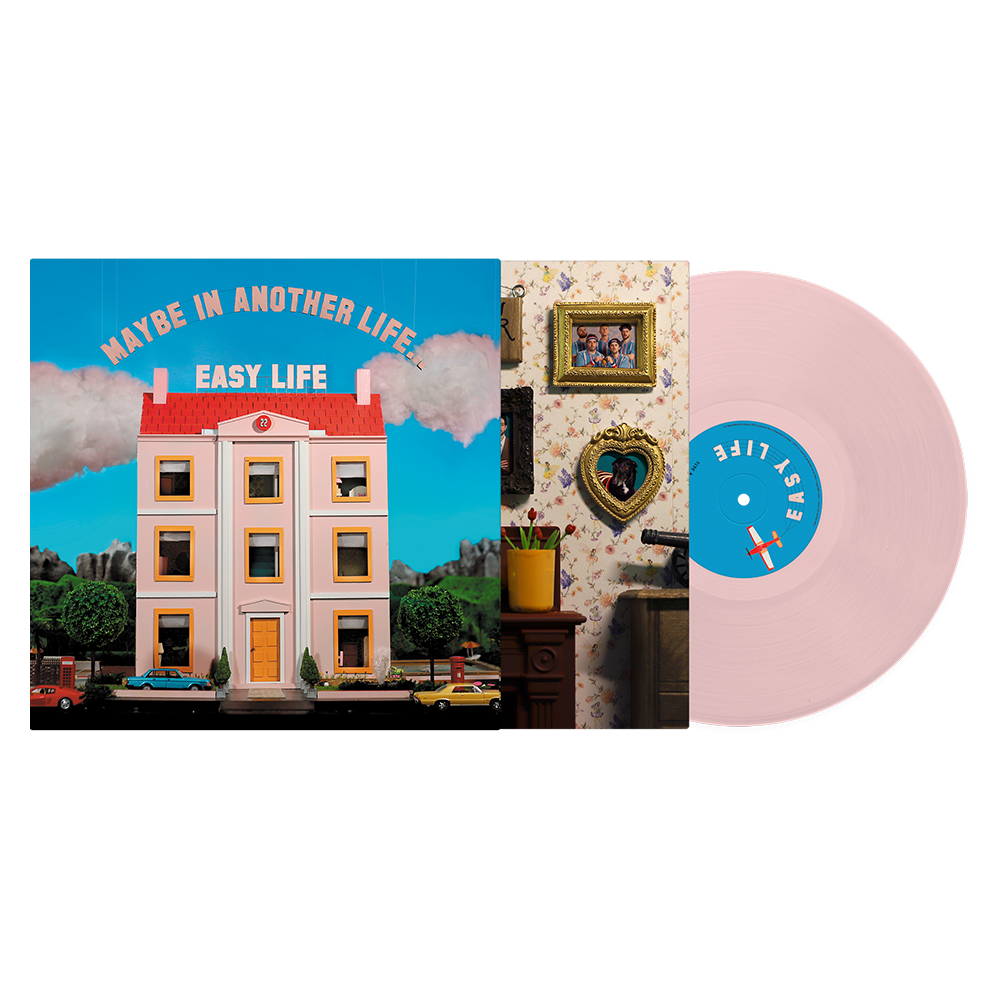MAYBE IN ANOTHER LIFE PINK VINYL